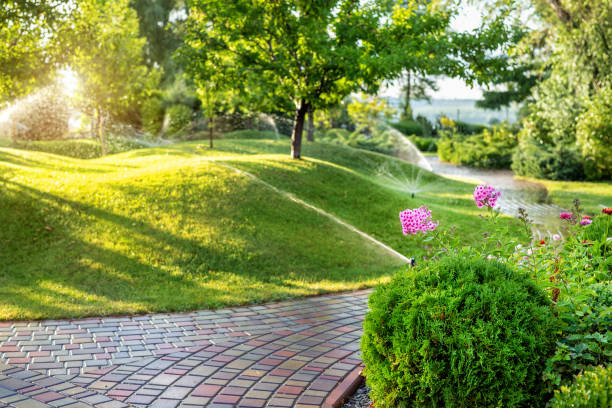 The Role of Lighting in Enhancing Your Landscape