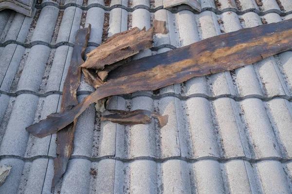 Your Go-To Roofing Service for Emergency Repairs